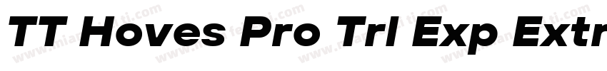 TT Hoves Pro Trl Exp Extra字体转换